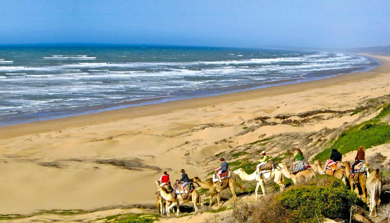 Mtmif-morocco-multisport-1